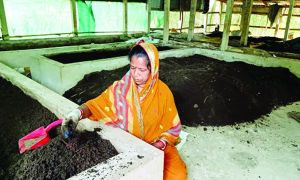 ফটিকছড়িতে কেঁচো সার উৎপাদনে স্বাবলম্বী নারীরা