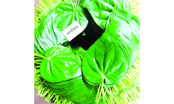 কিশোরগঞ্জের ঠোঁট রাঙানো ‘লালডিঙি’ পান
