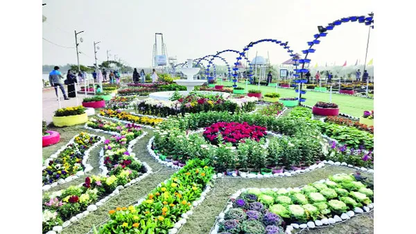 ফুলে-জলে রঙিন এক স্বপ্নরাজ্য সীতাকুণ্ড ডিসি পার্ক