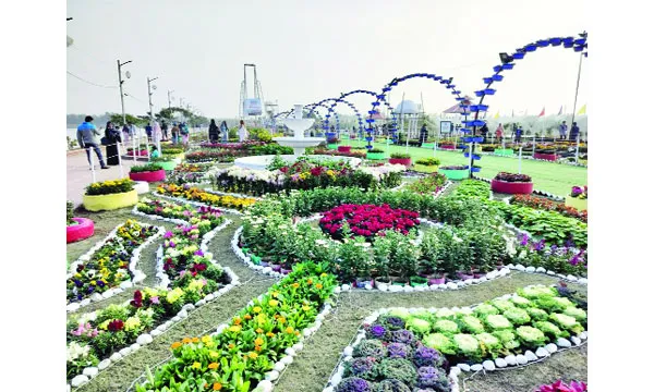 ফুলে-জলে রঙিন এক স্বপ্নরাজ্য সীতাকুণ্ড ডিসি পার্ক