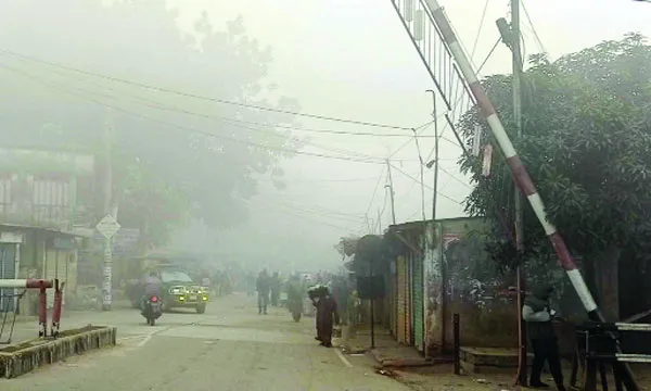 শীতের দাপটে কাঁপছে দেশ, নষ্ট হচ্ছে বীজতলা