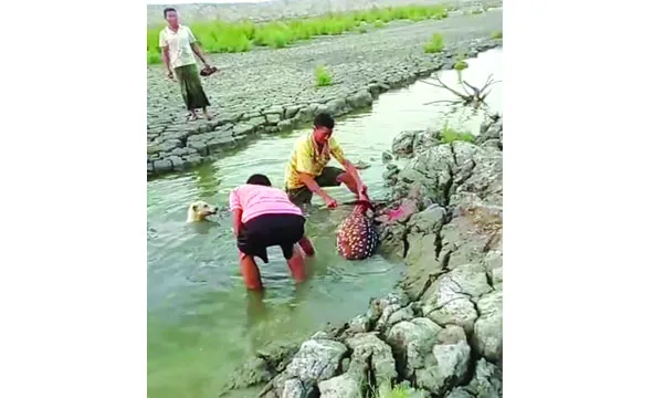 মিরসরাইয়ে প্রকাশ্যে  চিত্রা হরিণ জবাই