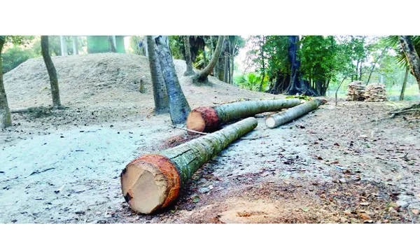 তাড়াশে শিব মন্দিরের জায়গা দখল আ’লীগ নেতার