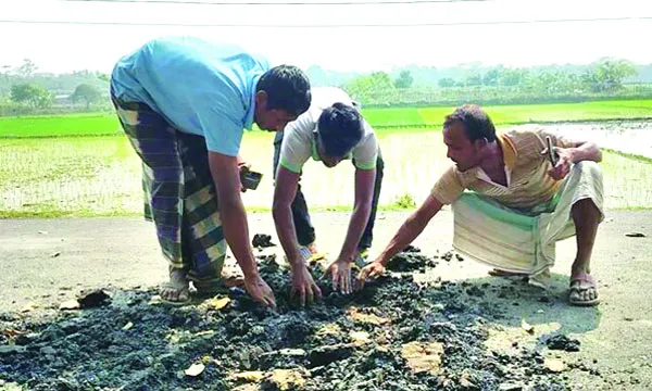 ত্রিশালে দেড় কোটি টাকার সড়ক, হাত দিলেই উঠে যাচ্ছে কার্পেটিং