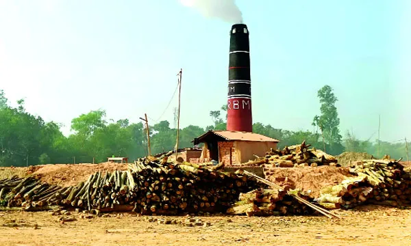 ফটিকছড়িতে অর্ধশতাধিক ইটভাটা  হুমকিতে পরিবেশ ও জনস্বাস্থ্য