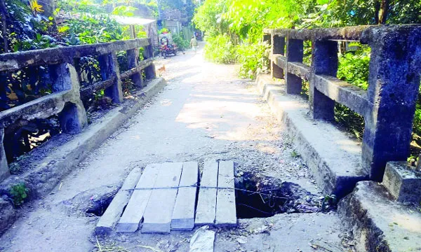 সালথায় কাগদী খালের সেতু যেন মরণফাঁদ, ঝুঁকি নিয়ে পারাপার