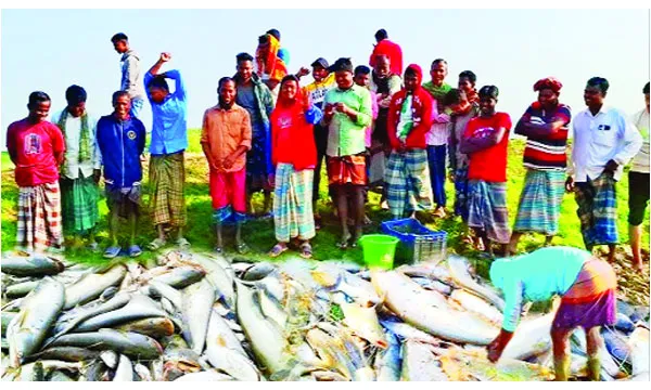 হাকালুকি হাওরে ঐতিহ্য অর্থনীতি ও প্রকৃতির মেলা