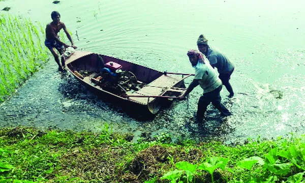 উজিরপুরে কৃষকদের ভরসা ‘নৌকা টিলার’