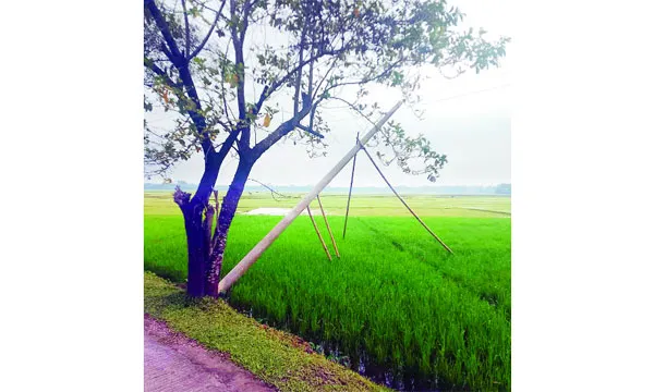 বাঁশ দিয়ে ঠেকিয়ে রাখা হয়েছে বিদ্যুতের খুঁটি