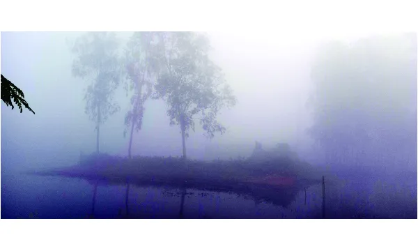 ধোঁয়াটে কুয়াশায় দৃশ্যমানতা কম সড়ক ও নৌপথে ঝুঁকি