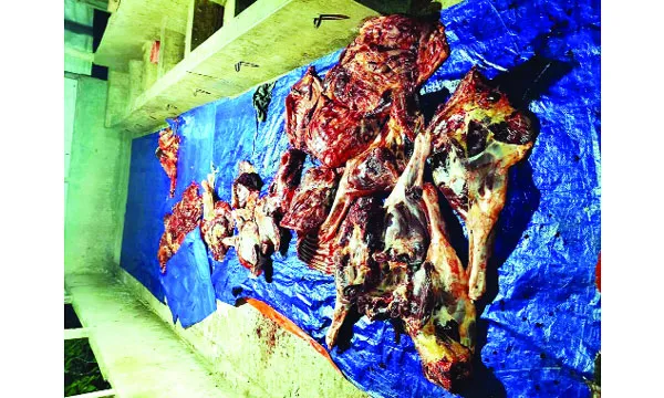 গাজীপুরে নিষেধাজ্ঞা অমান্য করে ঘোড়া জবাই