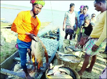 bangla 1