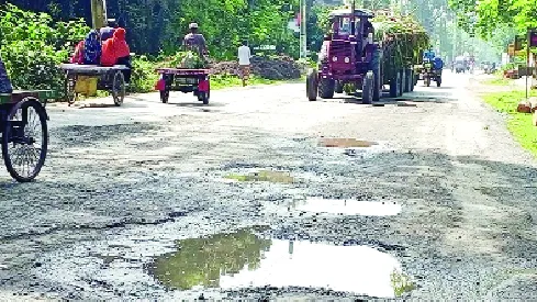 চুয়াডাঙ্গা-দর্শনা সড়ক সংস্কারে লুটপাট, উঠে যাচ্ছে কার্পেটিং