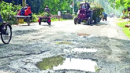 চুয়াডাঙ্গা-দর্শনা সড়ক সংস্কারে লুটপাট, উঠে যাচ্ছে কার্পেটিং