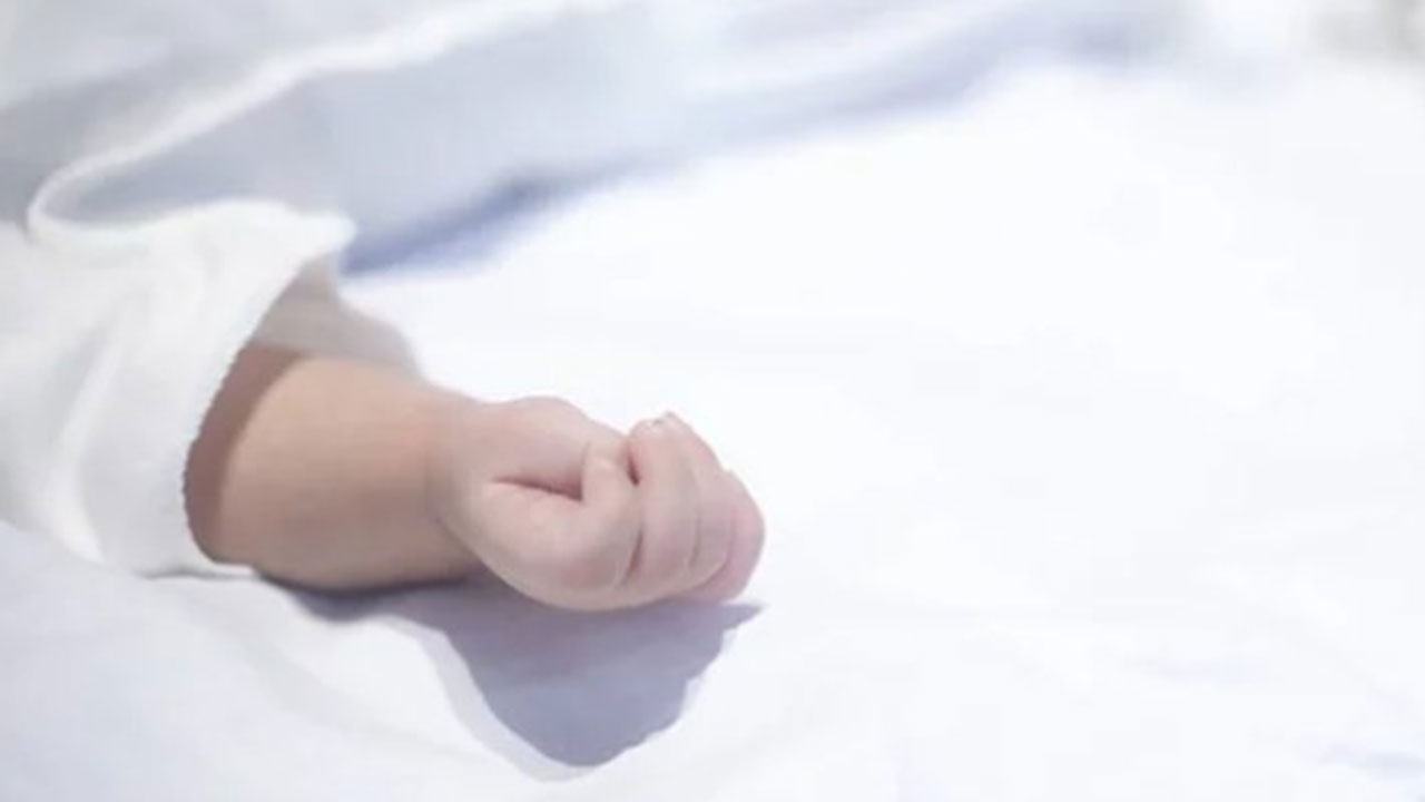 বাচ্চা