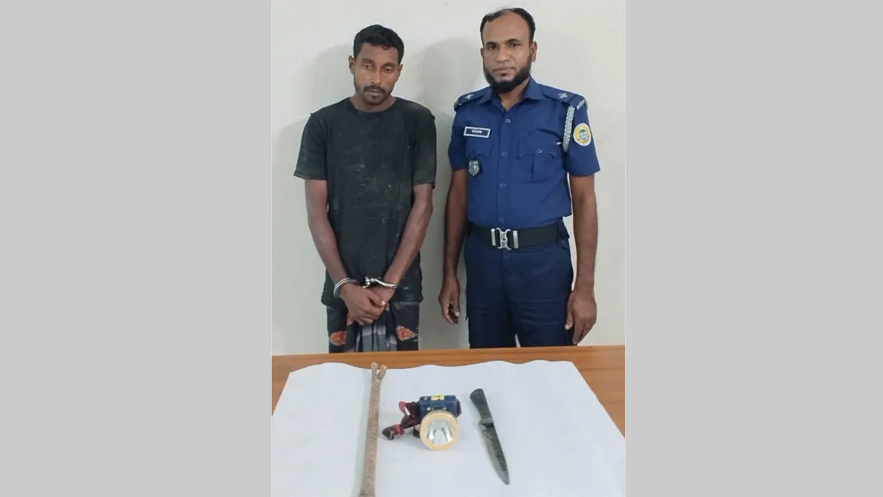 ভান্ডারিয়ায় চুরি করতে গিয়ে নারীকে ছুরিকাঘাত, মাসুদ গ্রেফতার