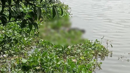 ভোলাহাটে মহানন্দা নদী থেকে লাশ উদ্ধার