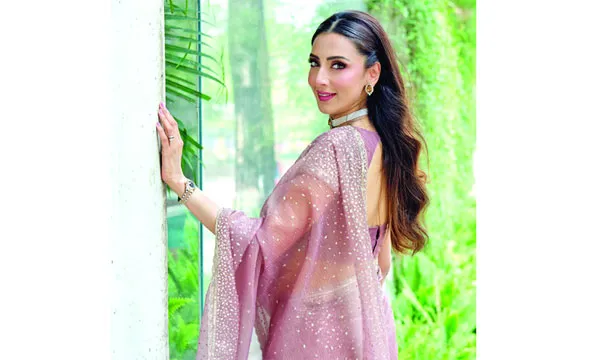 সিনেমা এবং ওয়েব ফিল্ম নিয়ে ব্যস্ত মিম