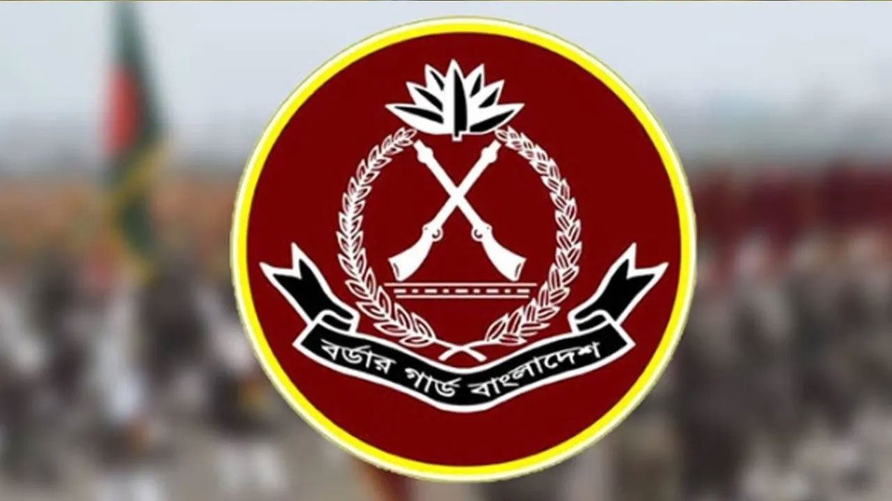 বিজিবি