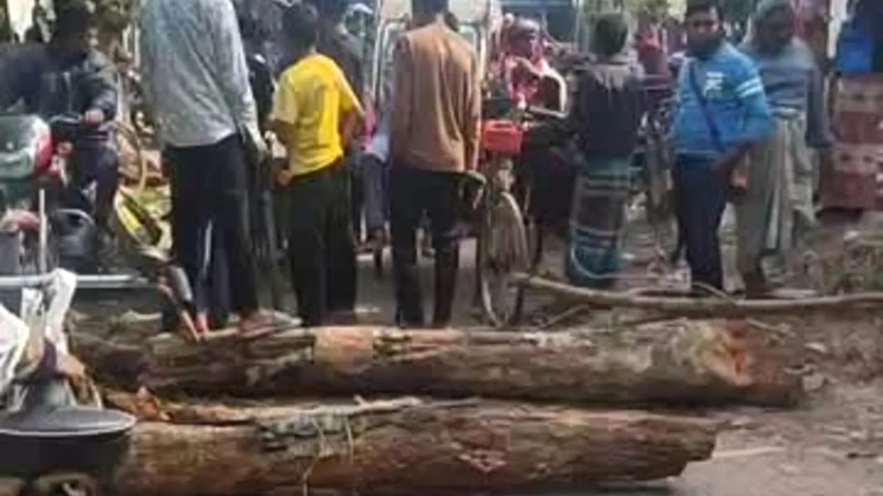 নলডাঙ্গায় সারের দাবিতে কৃষকদের রাস্তা অবরোধ, উপজেলা পরিষদ ঘেরাও