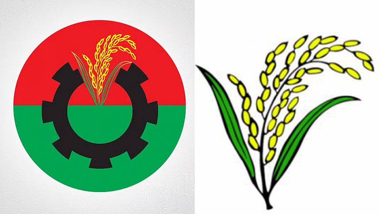 bnp-paddy
