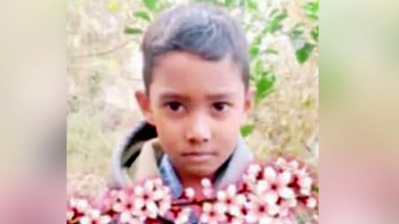 বড়াইগ্রামে মাটিচাপায় শিশুর মৃত্যু