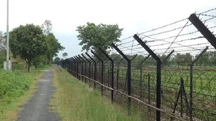 নওগাঁ সীমান্তে ১৮ জনকে পুশইন বিএসএফের
