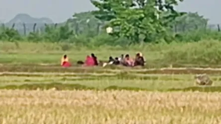 বেনাপোল সীমান্তের শূন্যরেখায় আটকা পড়েছে বিএসএফের ঠেলে দেয়া ১০ জন