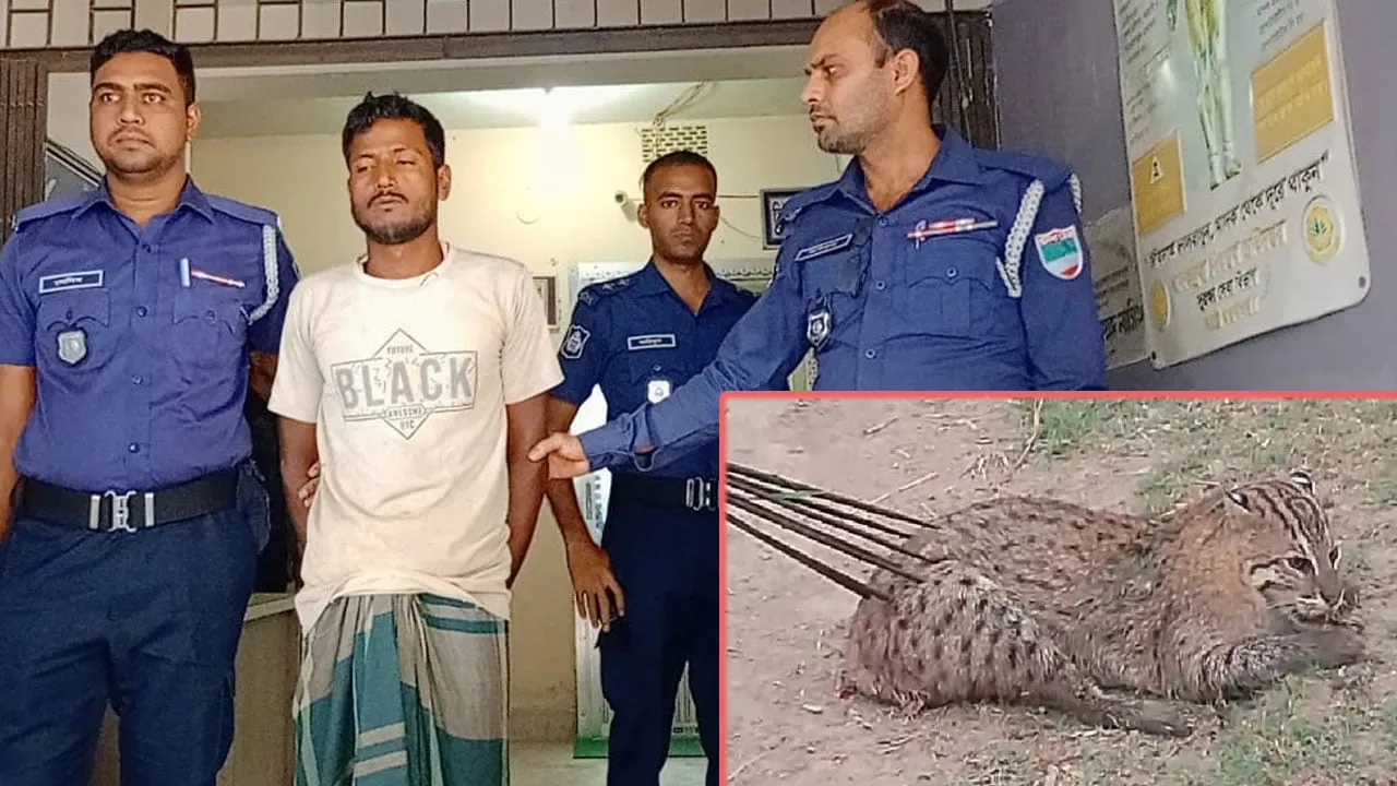 চুয়াডাঙ্গায় নির্মমভাবে মেছো বিড়াল হত্যা, গ্রেফতার ১
