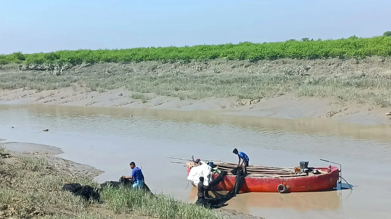 মিরসরাইয়ে মা ইলিশ সংরক্ষণে অভিযান, ২ কোটি টাকার জাল ধ্বংস