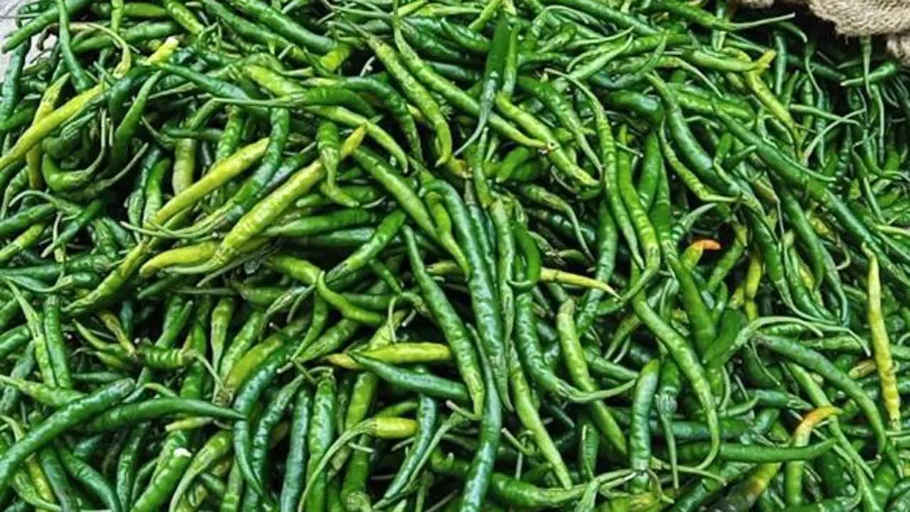 কাল থেকেই কাঁচামরিচ আমদানি শুরু : কৃষিমন্ত্রী