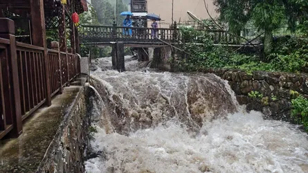 চীনের পূর্বাঞ্চলে টাইফুনে ব্যাহত যাতায়াত, সাংহাইয়ে ৯৪৩টি ফ্লাইট বাতিল