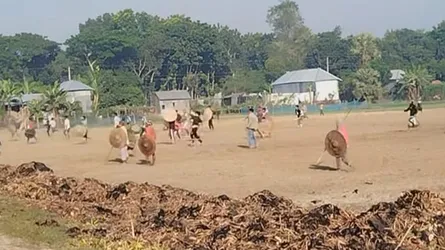 ফরিদপুরে দফায় দফায় বিএনপির দু’পক্ষে সংঘর্ষ, আহত শতাধিক