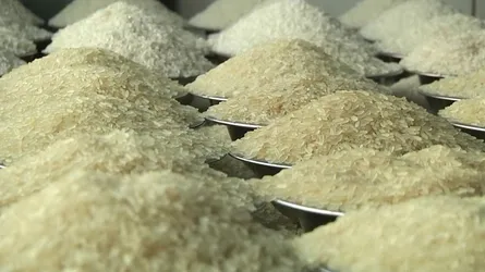 বাংলাদেশে রফতানির জন্য ১ লাখ টন চাল কিনছে পাকিস্তান