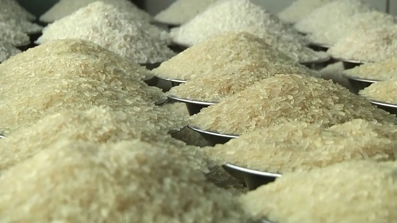 শিগগিরই চালের দাম সহনীয় পর্যায়ে আসবে