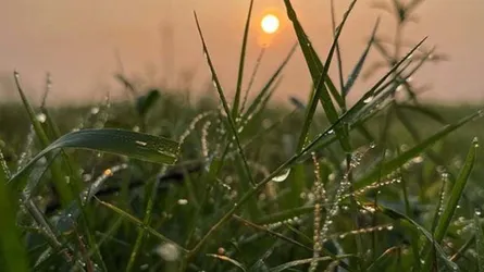 তাপমাত্রা কমতে পারে