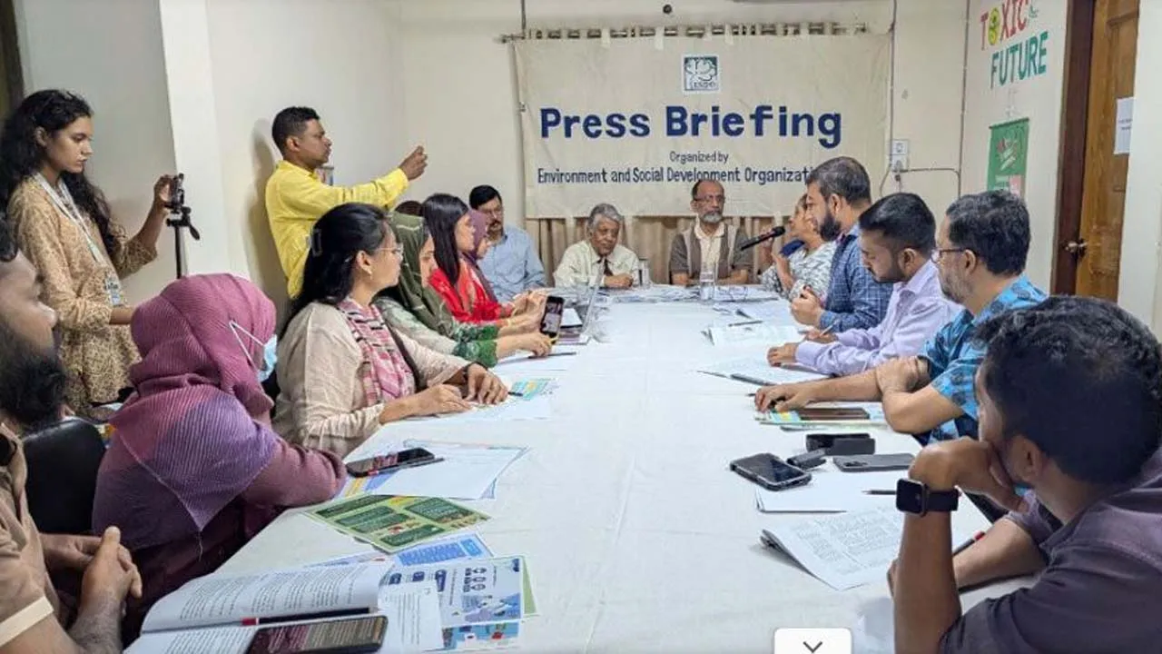 গৃহসজ্জায় ব্যবহৃত রঙে ভয়ানক মাত্রার সিসা