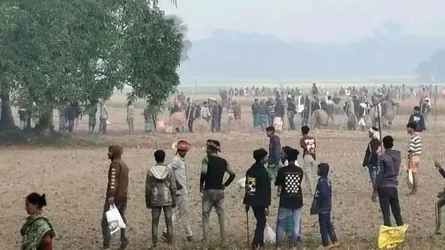 মাগুরায় আধিপত্য বিস্তারকে কেন্দ্র করে দু’পক্ষে সংঘর্ষ, আহত অর্ধশতাধিক