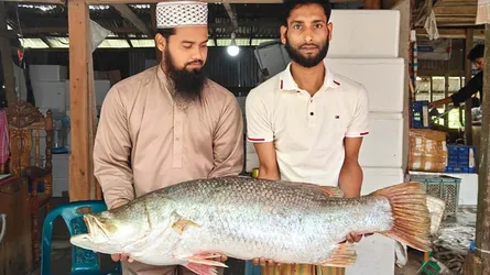 কুয়াকাটায় জালে ধরা পড়লো ‘সোনালী কোরাল’, দাম ২৬ হাজার