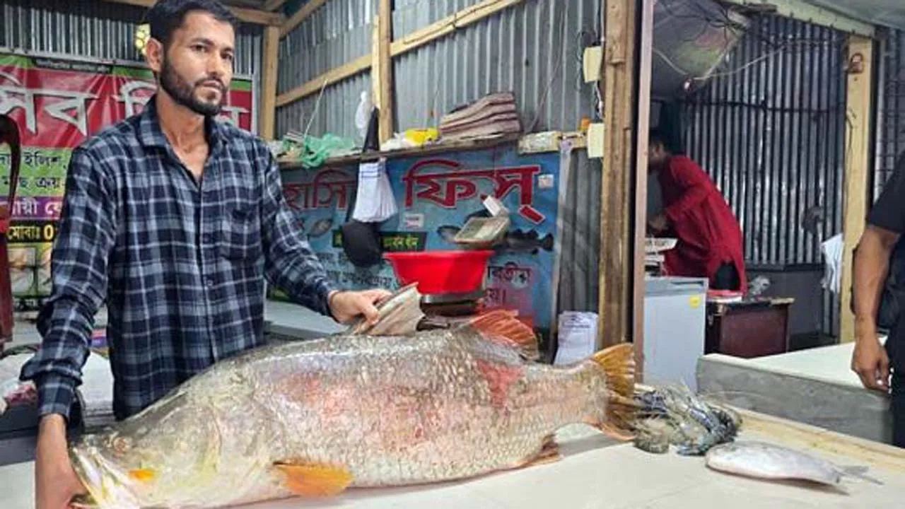 বঙ্গোপসাগরে জালে ধরা পড়ল ২২ কেজির কোরাল, ৩৫ হাজারে বিক্রি