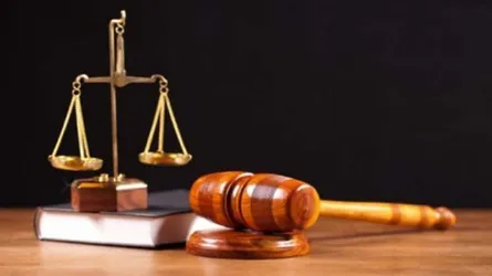 ৮ কুকুরছানা হত্যা : সেই নিশি আক্তারের জামিন