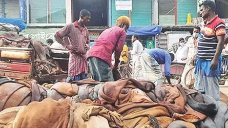 যে কারণে চামড়া শিল্পে ধস