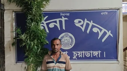দর্শনায় ৫২টি গাঁজা গাছসহ চাষি গ্রেফতার