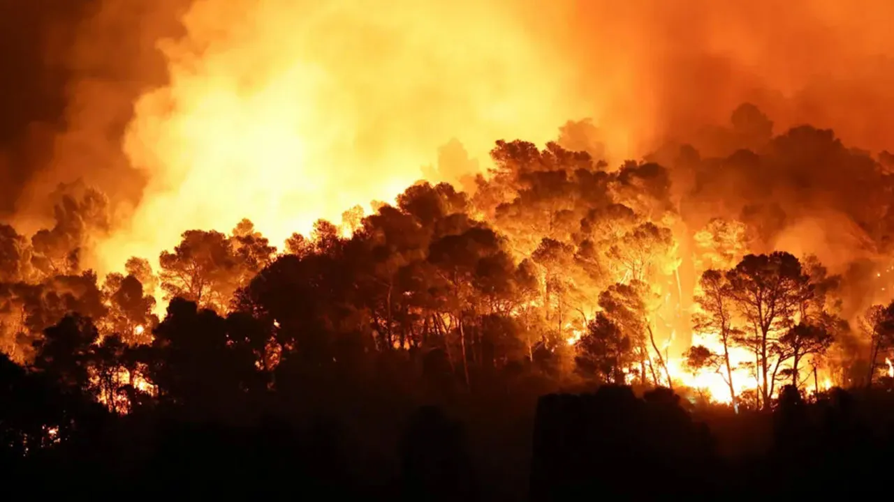 ফ্রান্সে ভয়াবহ দাবানল নিয়ন্ত্রণে