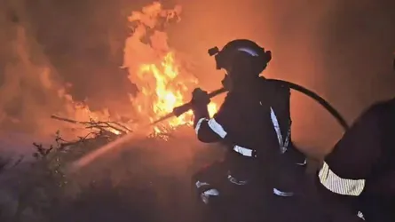 ফ্রান্স, ইতালি ও স্পেনে ভয়াবহ দাবানল, ৩ দমকলকর্মীর প্রাণহানি