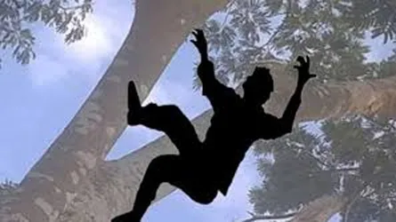 রাঙ্গাবালীতে গাছ থেকে পড়ে শ্রমিকের মৃত্যু