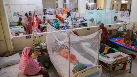 কলাপাড়া ও কুলাউড়ায় ডেঙ্গুর দাপট