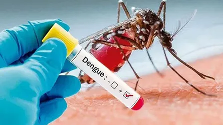 ডেঙ্গুতে আরো ২ জনের মৃত্যু