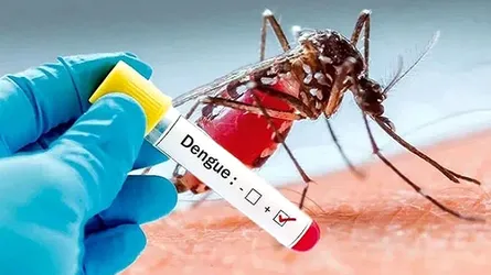 ডেঙ্গুতে আরো ৩ জনের মৃত্যু, হাসপাতালে ভর্তি ৬৮৫