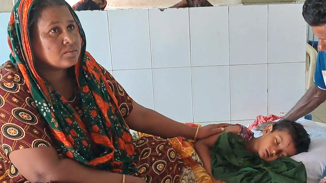 শরণখোলায় কুকুরের কামড়ে আক্রান্ত ১৪, মেলেনি ভ্যাকসিন